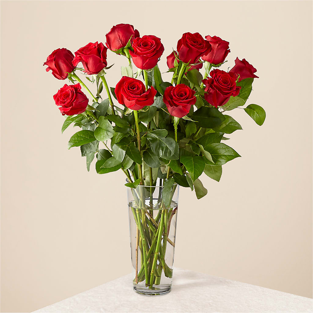 Long Stem Red Rose Bouquet – Herbert E Berg Florist Inc, Worcester MA