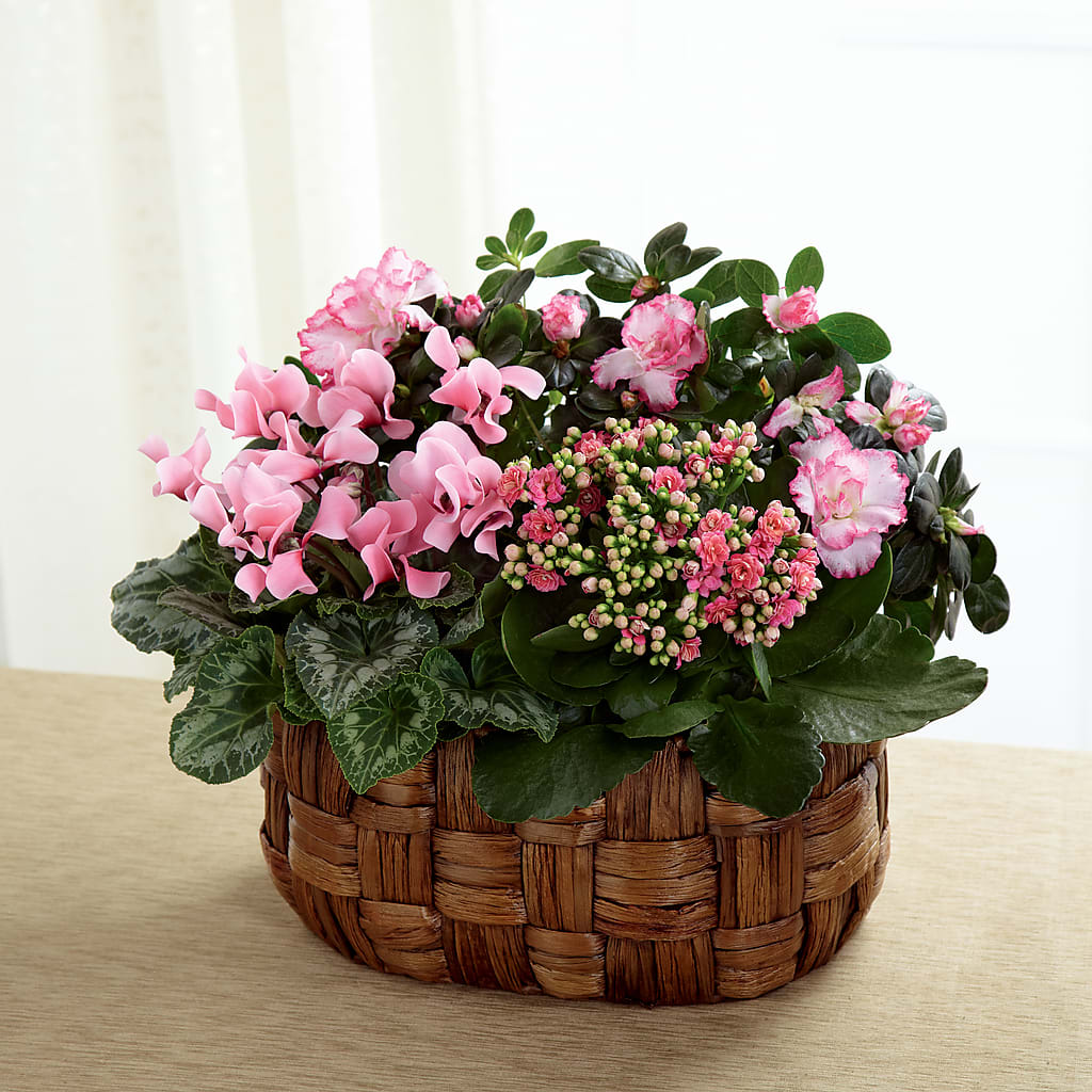Pink Assortment – Herbert E Berg Florist Inc, Worcester MA