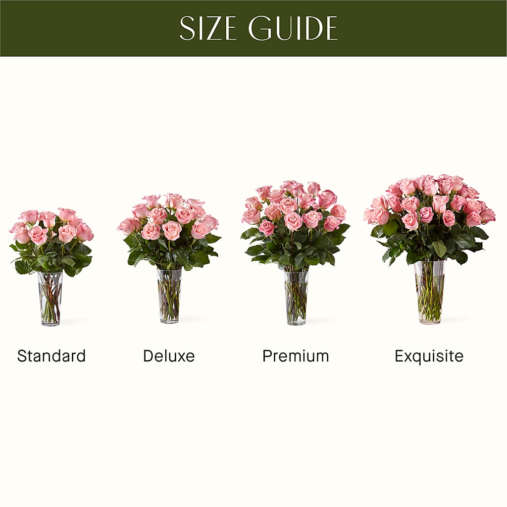 Long Stem Pink Rose Bouquet – Herbert E Berg Florist Inc, Worcester MA