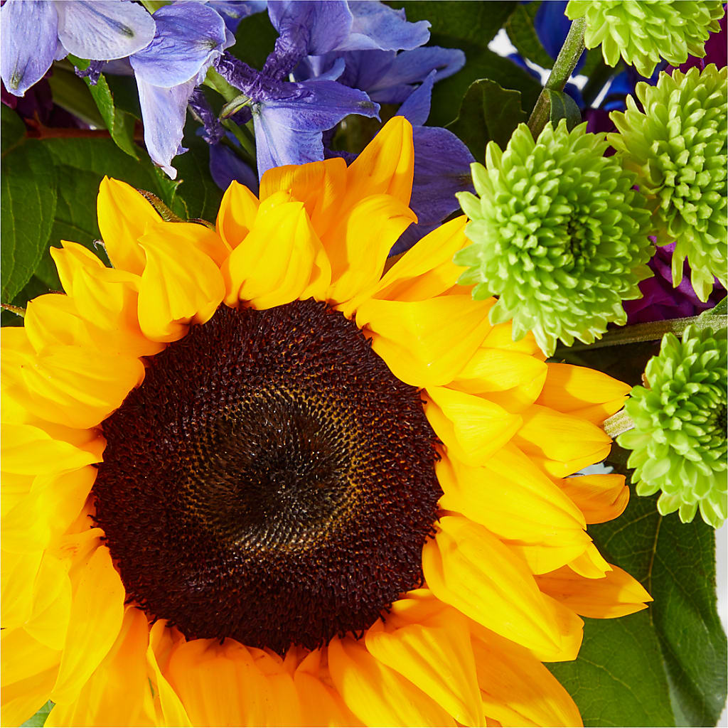 Catching Rays Bouquet – Herbert E Berg Florist Inc, Worcester MA