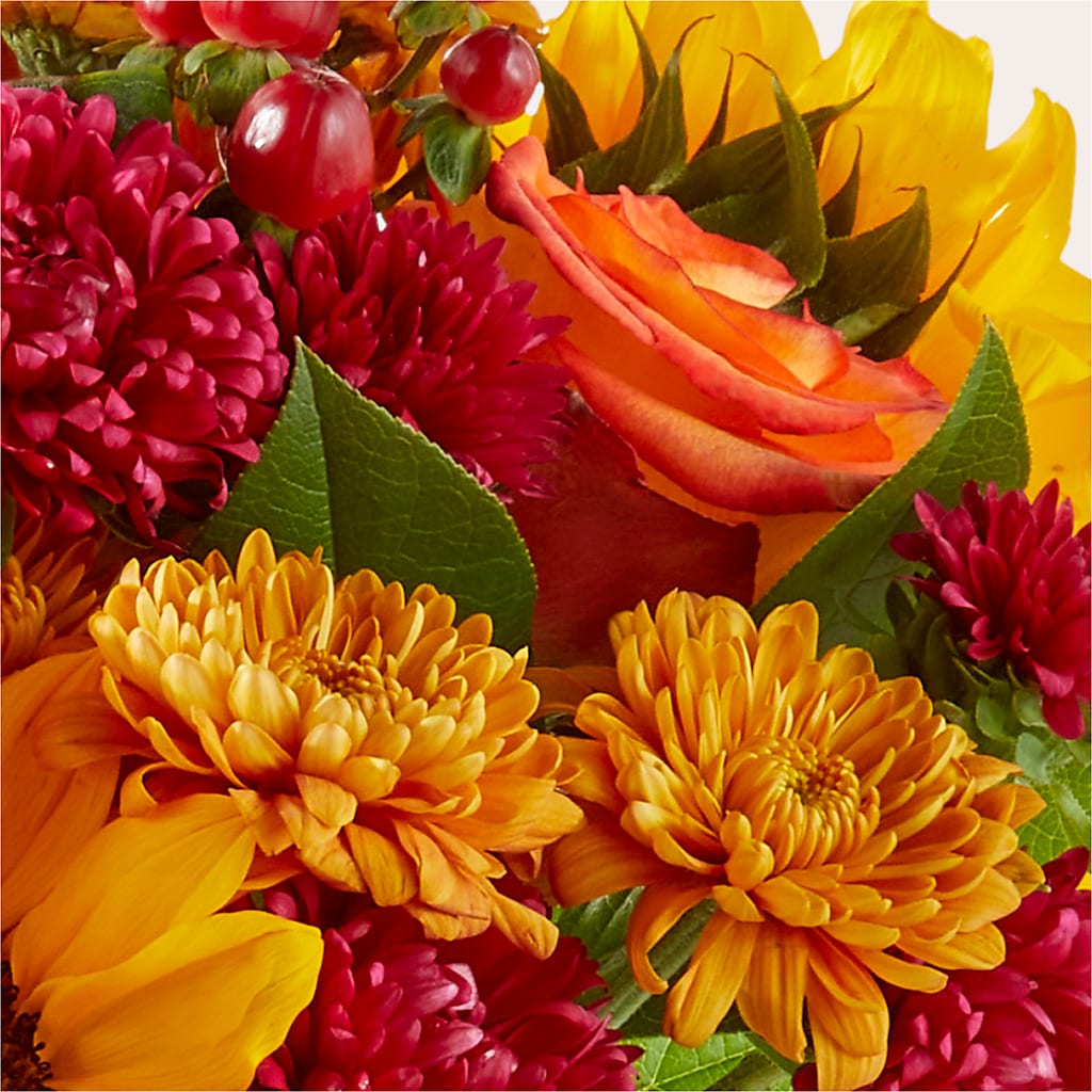 Sweater Season - A Florist Original – Herbert E Berg Florist Inc, Worcester MA