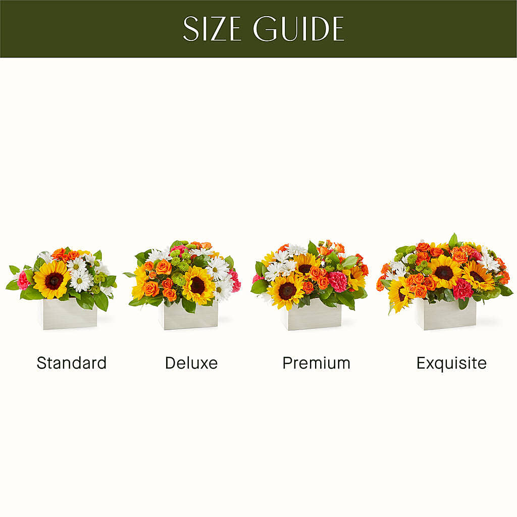 Sun-drenched Blooms Box Bouquet – Herbert E Berg Florist Inc, Worcester MA