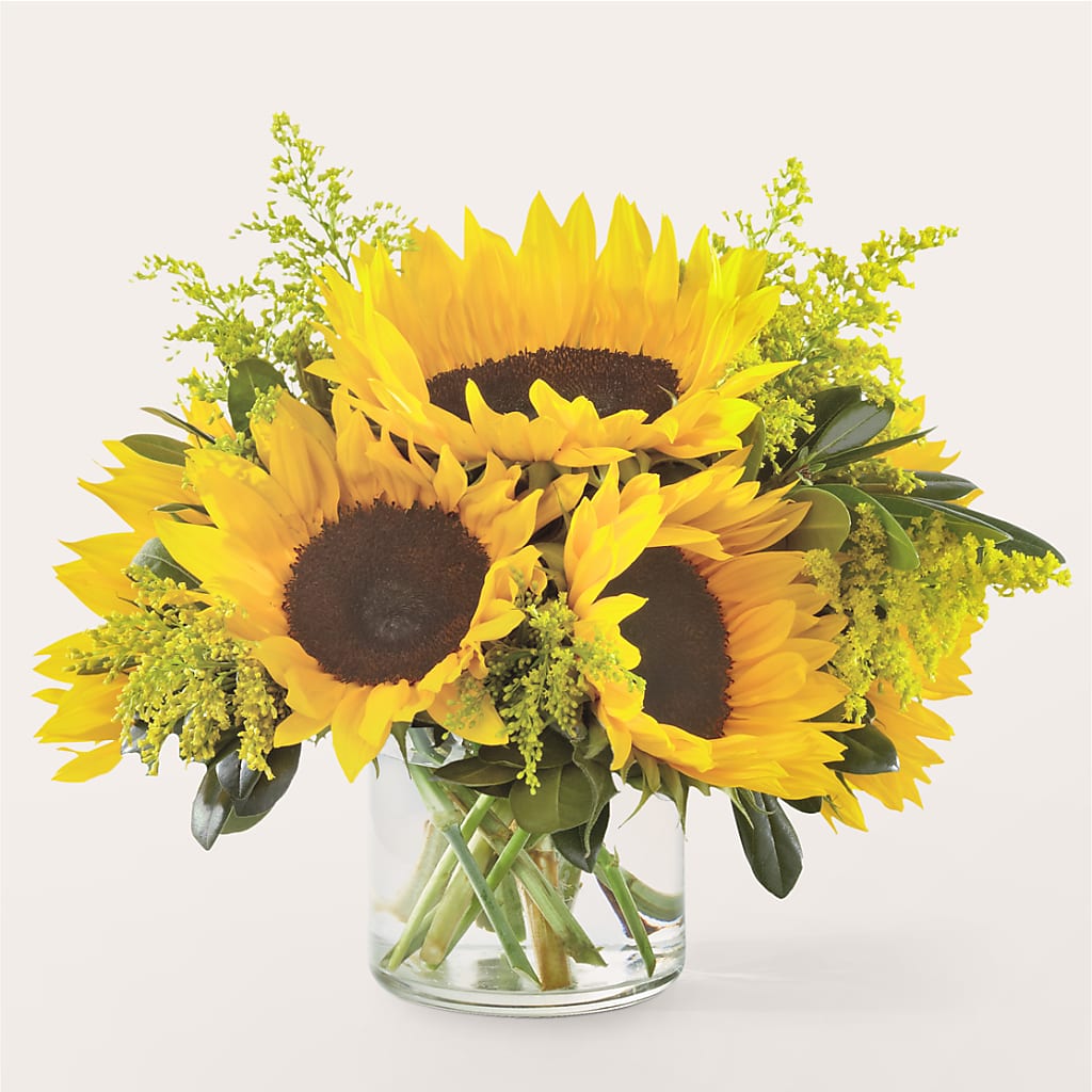 Beaming Sunflower Bouquet – Herbert E Berg Florist Inc, Worcester MA