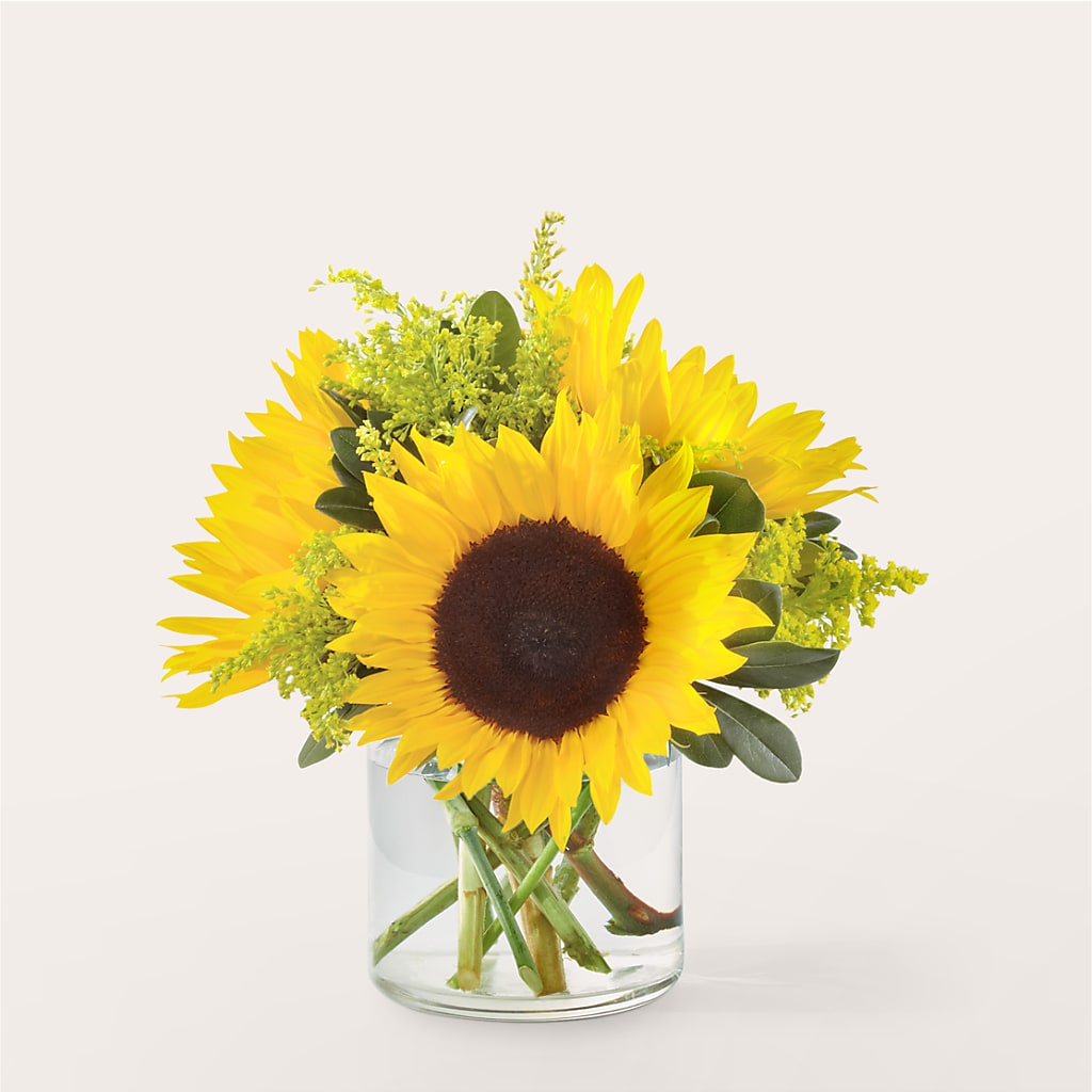 Beaming Sunflower Bouquet – Herbert E Berg Florist Inc, Worcester MA
