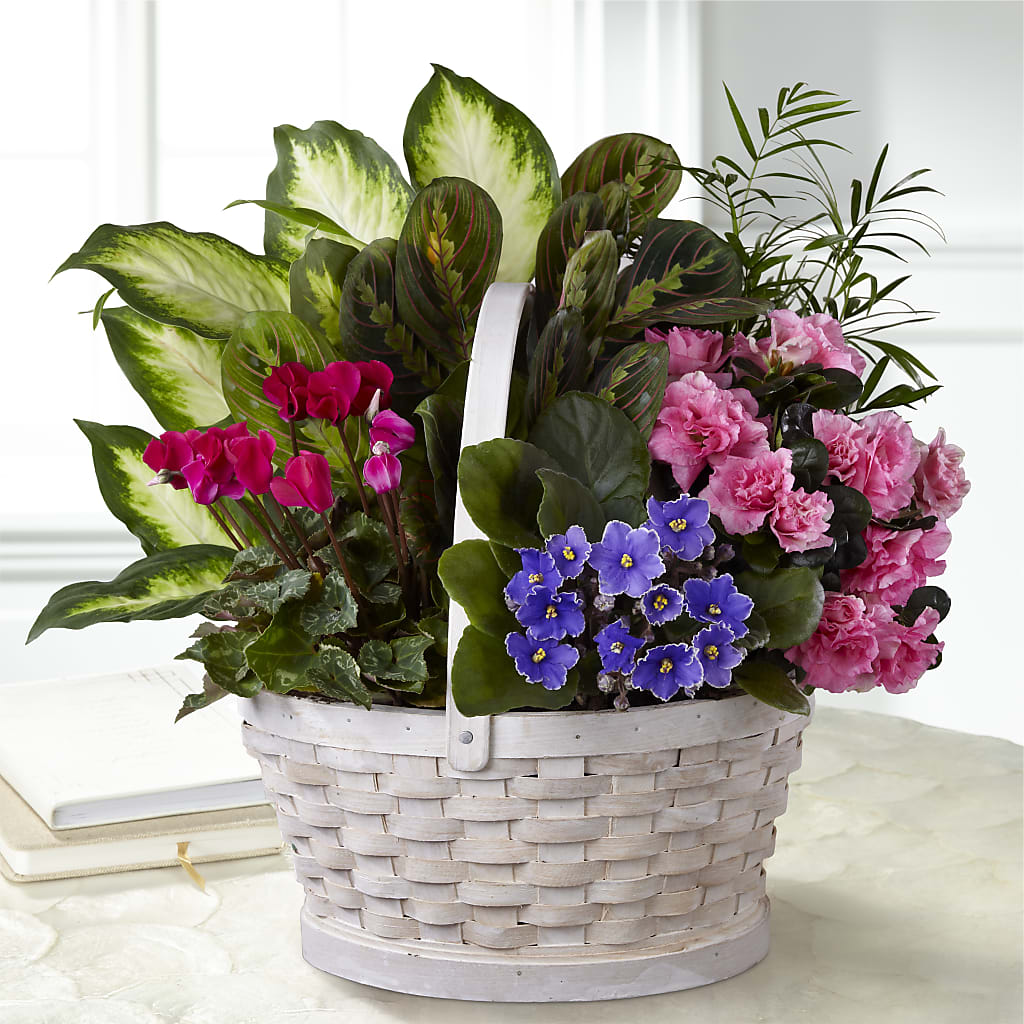 Peaceful Garden Planter – Herbert E Berg Florist Inc, Worcester MA