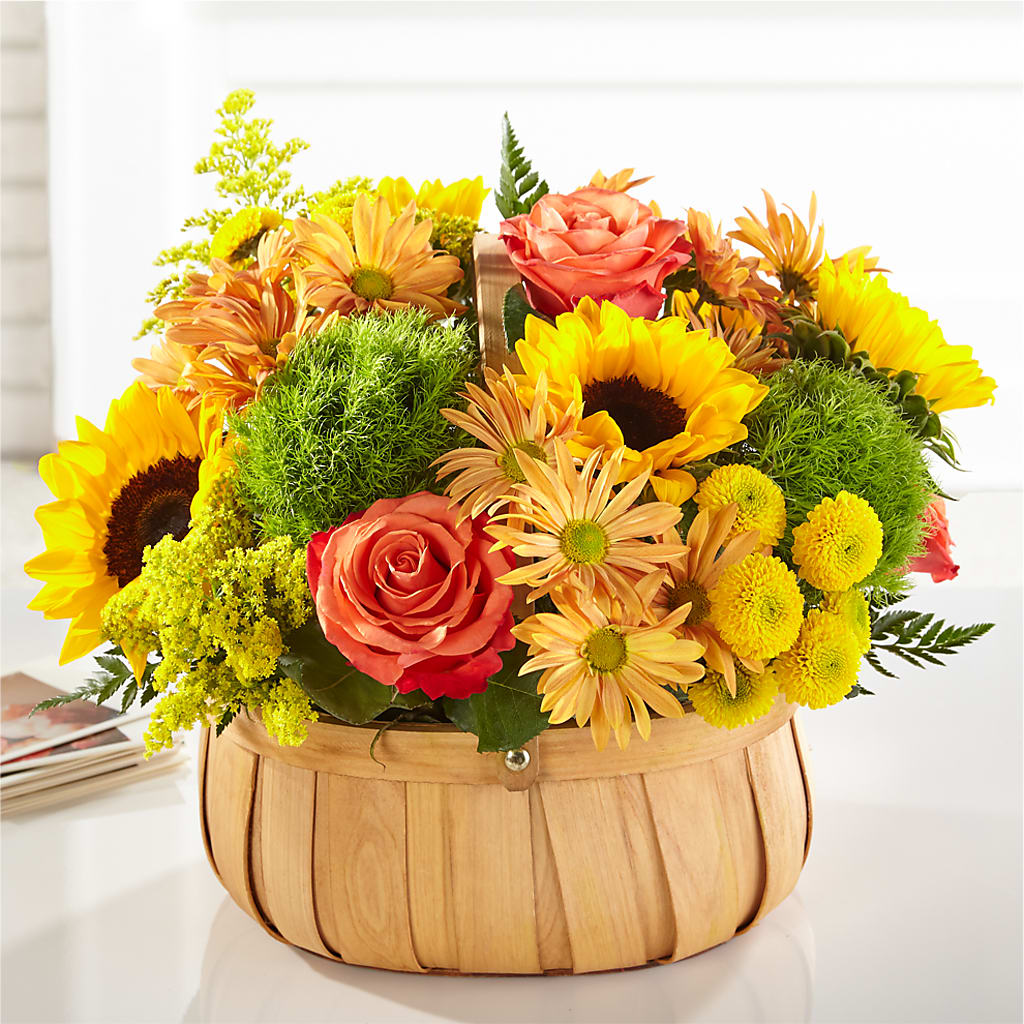 Harvest Sunflower Basket – Herbert E Berg Florist Inc, Worcester MA