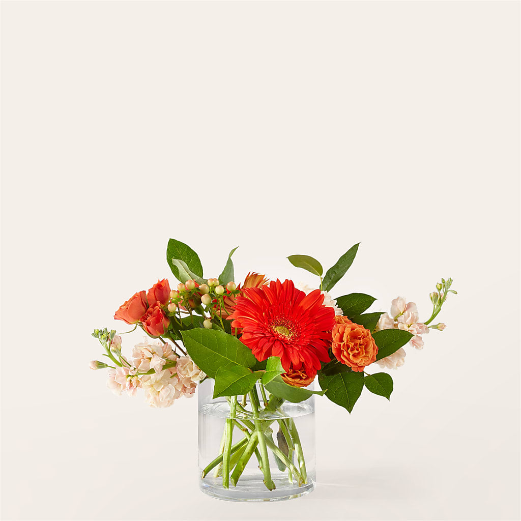 Paloma Please Bouquet – Herbert E Berg Florist Inc, Worcester MA