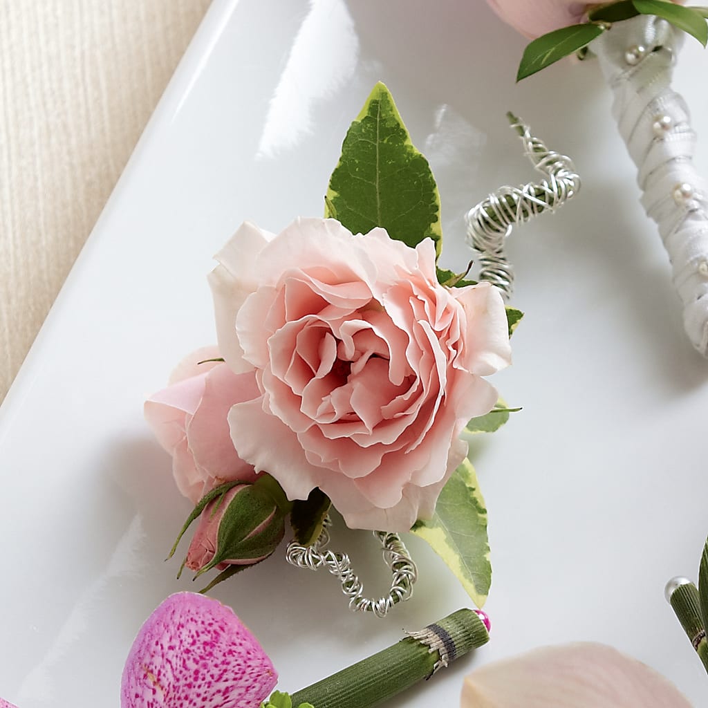 Pink Spray Rose Boutonniere – Herbert E Berg Florist Inc, Worcester MA