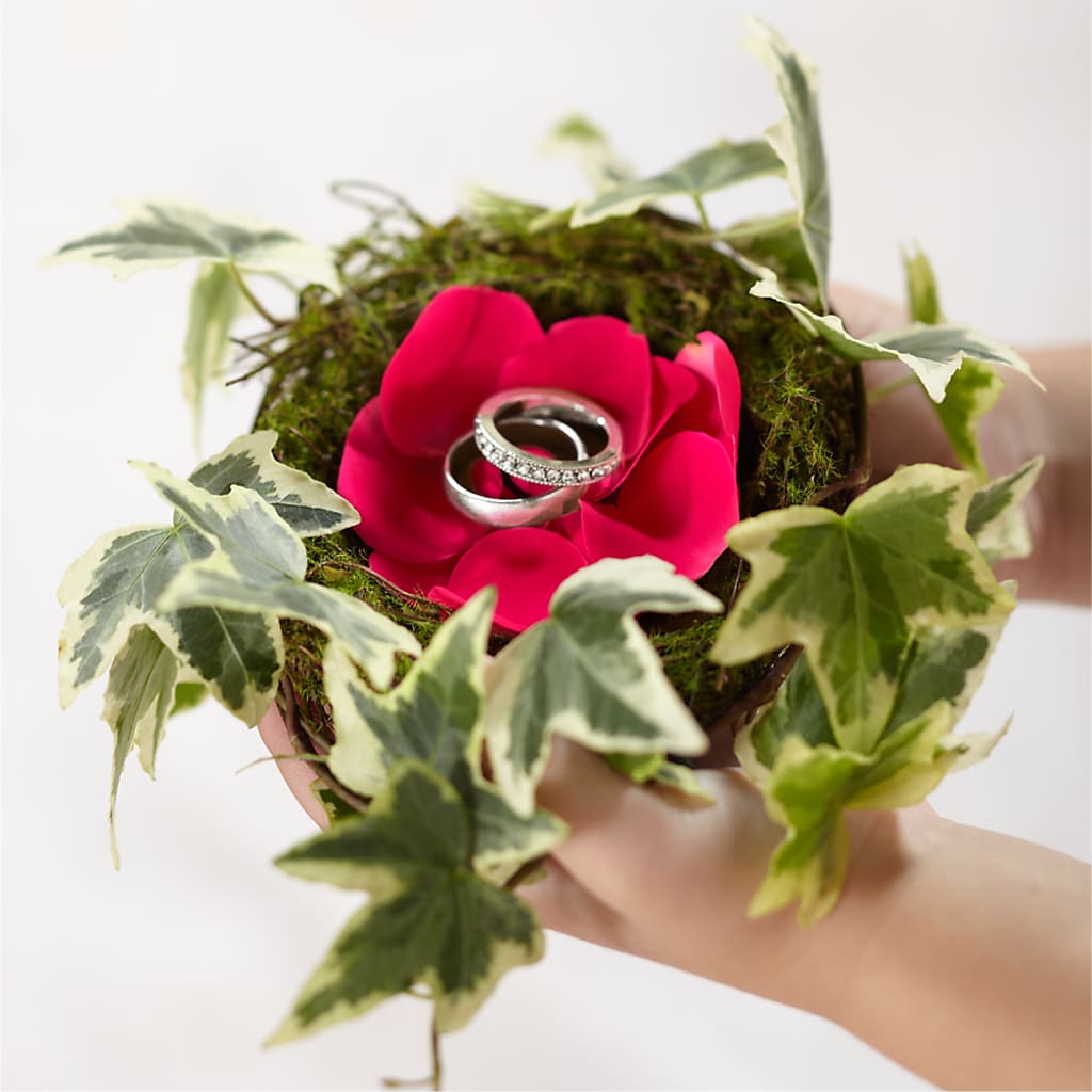Lila Rose Ring Nest – Herbert E Berg Florist Inc, Worcester MA