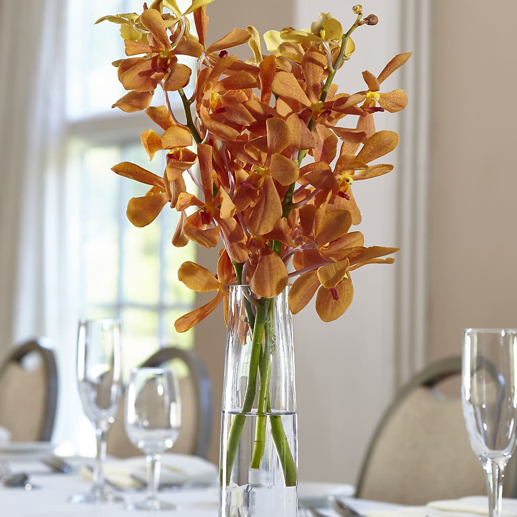 Orange Mokara Bud Vase – Herbert E Berg Florist Inc, Worcester MA