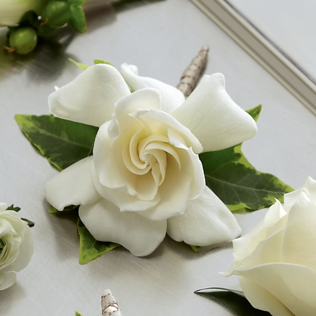 Gardenia Boutonniere – Herbert E Berg Florist Inc, Worcester MA