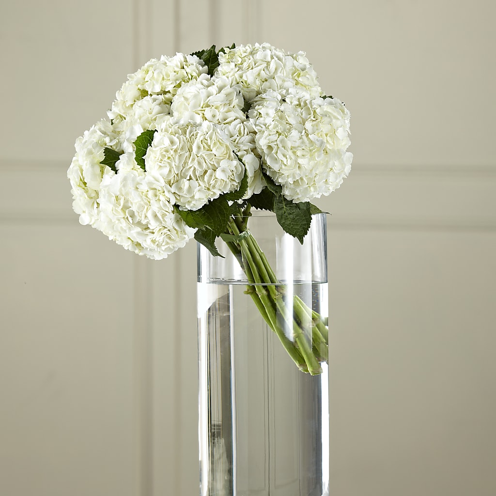 White Hydrangea Hand-Tied Bouquet – Herbert E Berg Florist Inc, Worcester MA