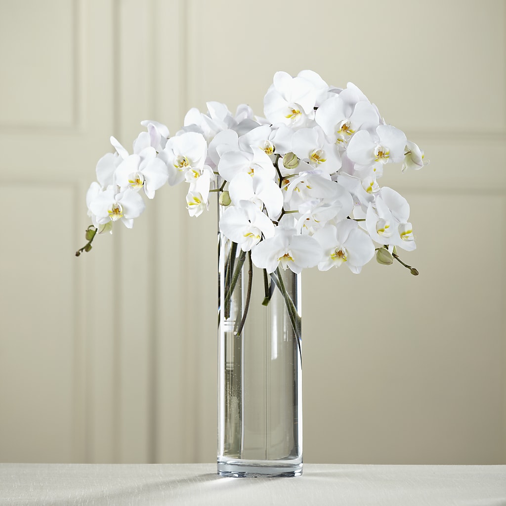White Phalaenopsis Bouquet – Herbert E Berg Florist Inc, Worcester MA