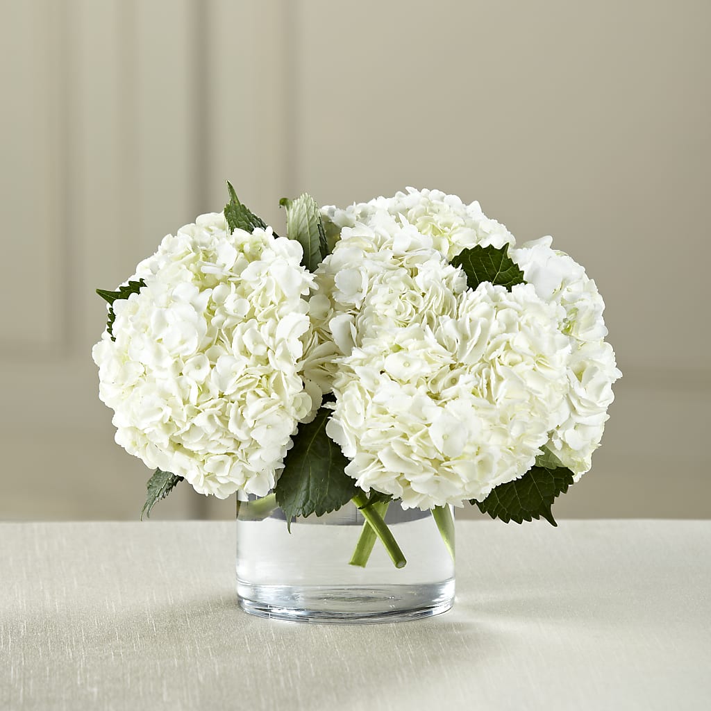 White Hydrangea Bouquet – Herbert E Berg Florist Inc, Worcester MA