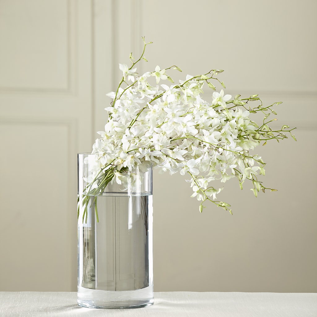 White Dendrobium Bouquet – Herbert E Berg Florist Inc, Worcester MA