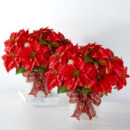 Happiest Holidays Poinsettia Bundle –  Herbert E Berg Florist Inc, Worcester MA