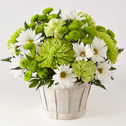 Lucky Charm Basket (Standard) –  Herbert E Berg Florist Inc, Worcester MA