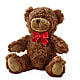 Adorable Plush Bear –  Herbert E Berg Florist Inc, Worcester MA