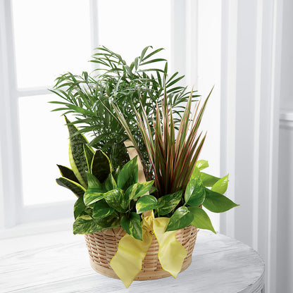 French Garden –  Herbert E Berg Florist Inc, Worcester MA