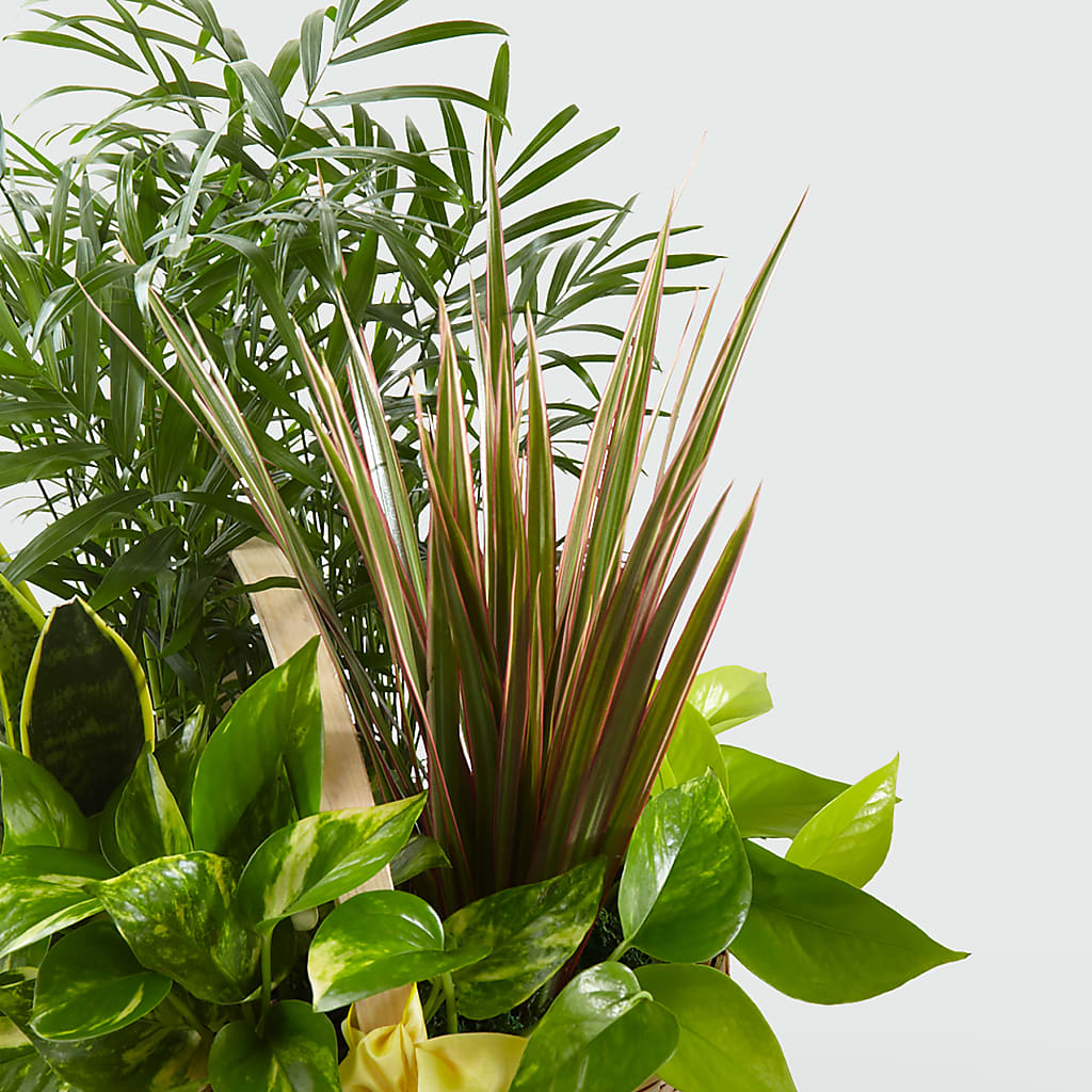 French Garden –  Herbert E Berg Florist Inc, Worcester MA