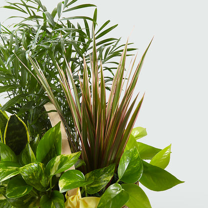 French Garden –  Herbert E Berg Florist Inc, Worcester MA