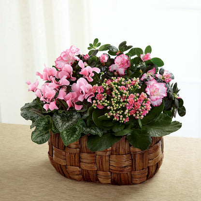 Pink Assortment –  Herbert E Berg Florist Inc, Worcester MA