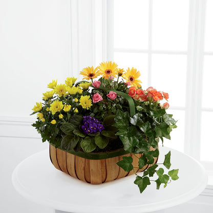 Gentle Blossoms Basket –  Herbert E Berg Florist Inc, Worcester MA