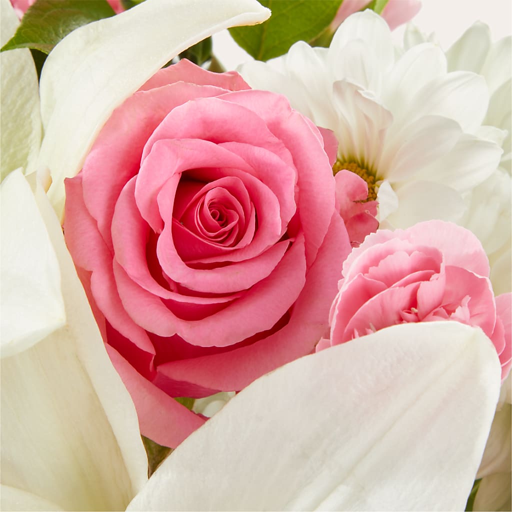 Whispers of Comfort Bouquet –  Herbert E Berg Florist Inc, Worcester MA