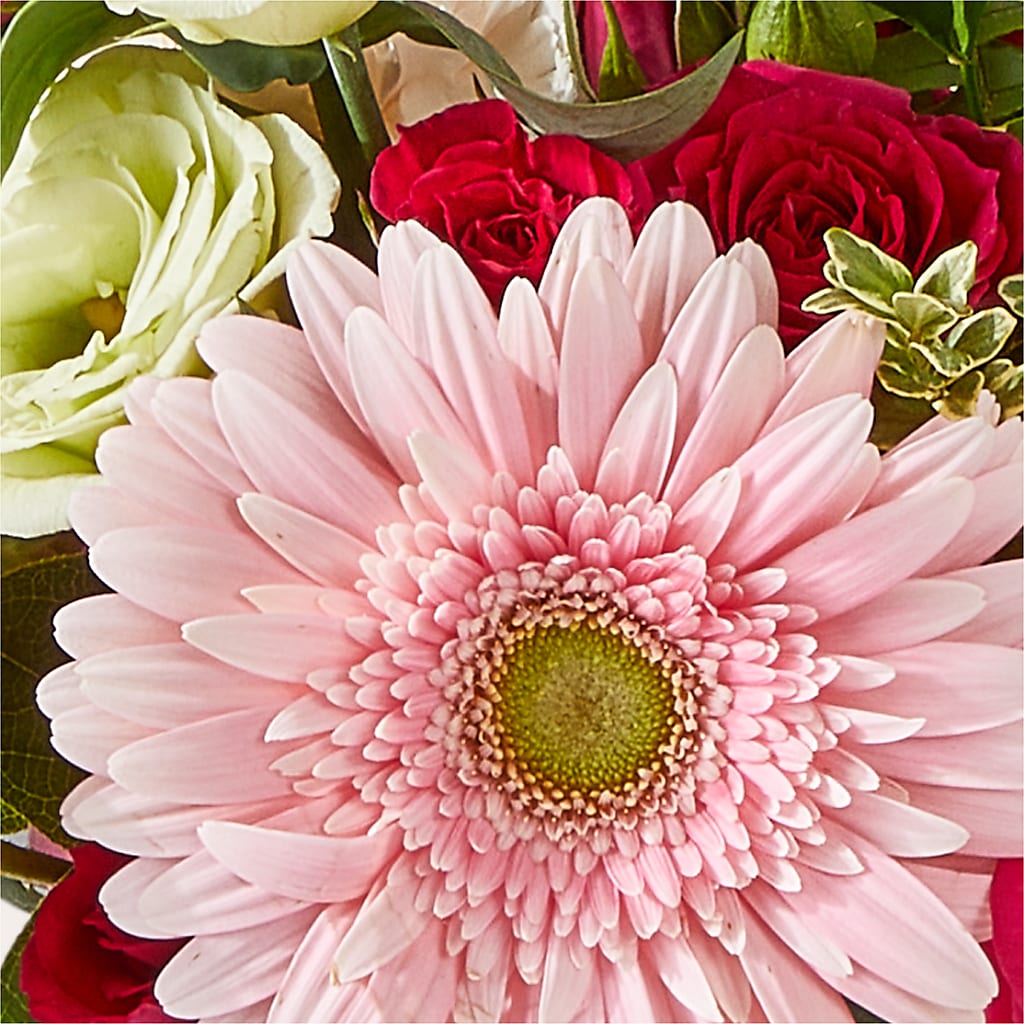 Too Cute Bouquet –  Herbert E Berg Florist Inc, Worcester MA