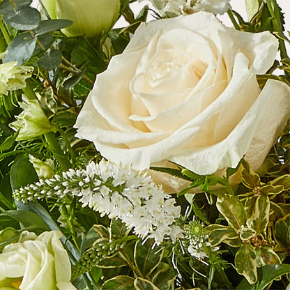 Cashmere Bouquet –  Herbert E Berg Florist Inc, Worcester MA