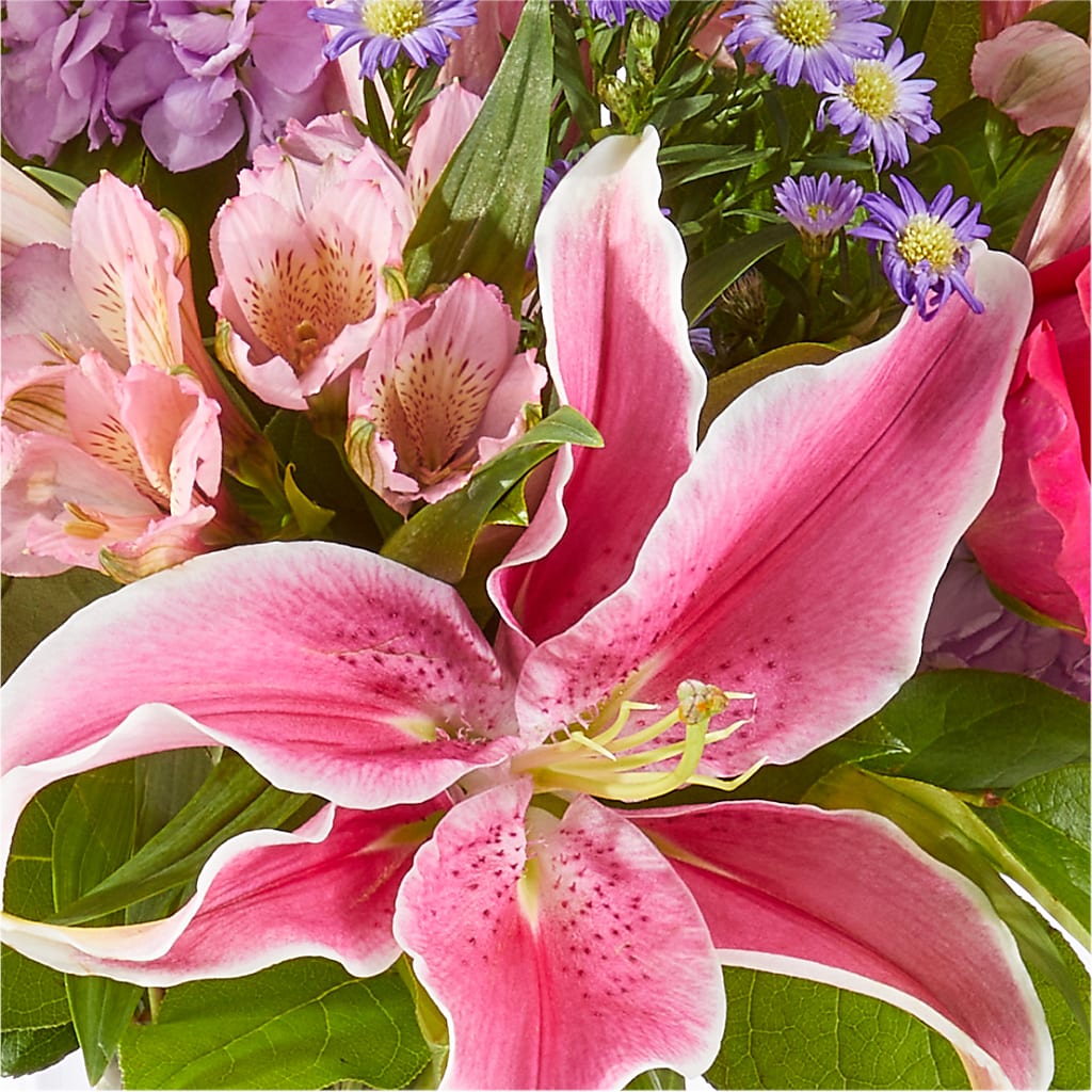 Written in the Stars Bouquet –  Herbert E Berg Florist Inc, Worcester MA