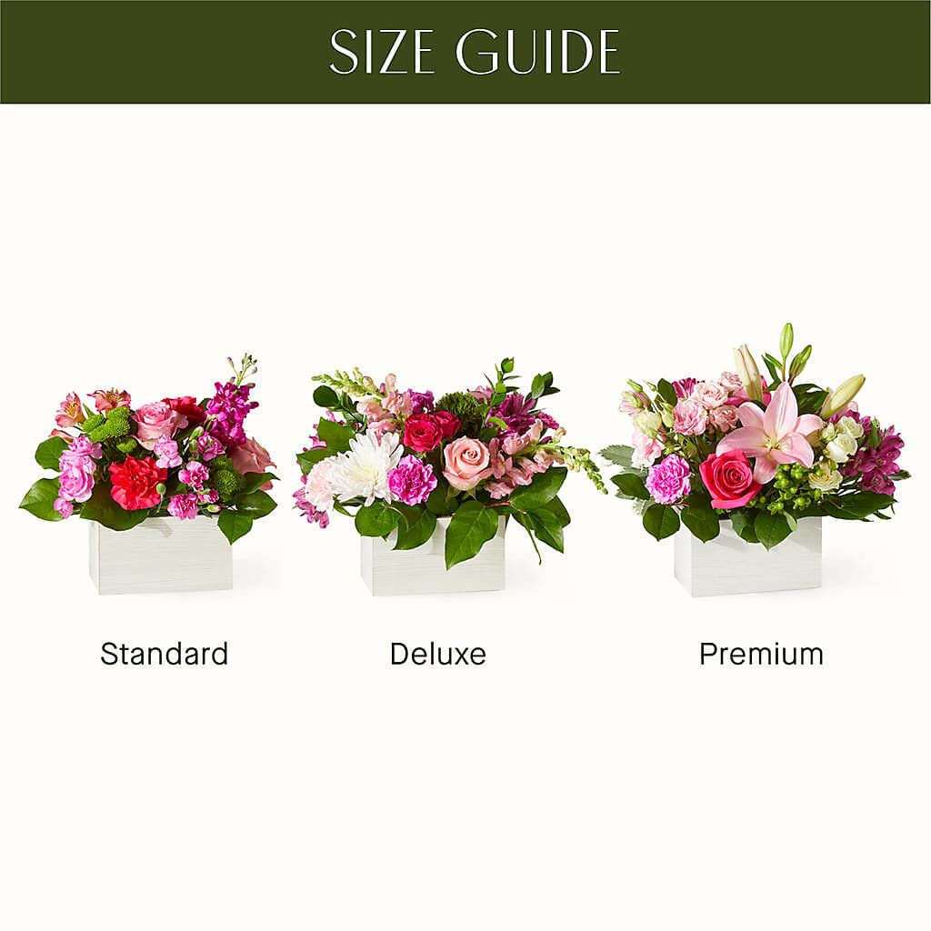 Sweetberry Box – A Florist Original –  Herbert E Berg Florist Inc, Worcester MA