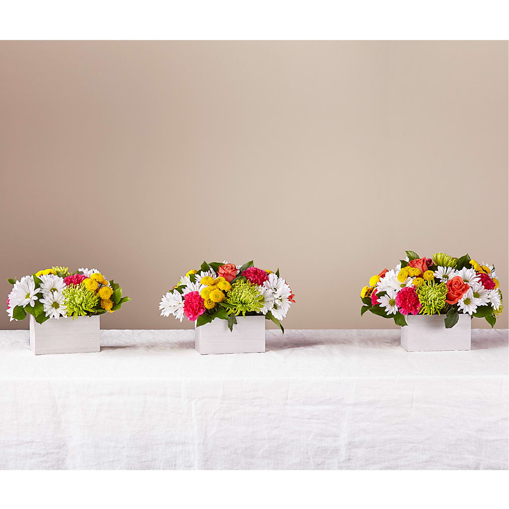 Sorbet Bouquet –  Herbert E Berg Florist Inc, Worcester MA