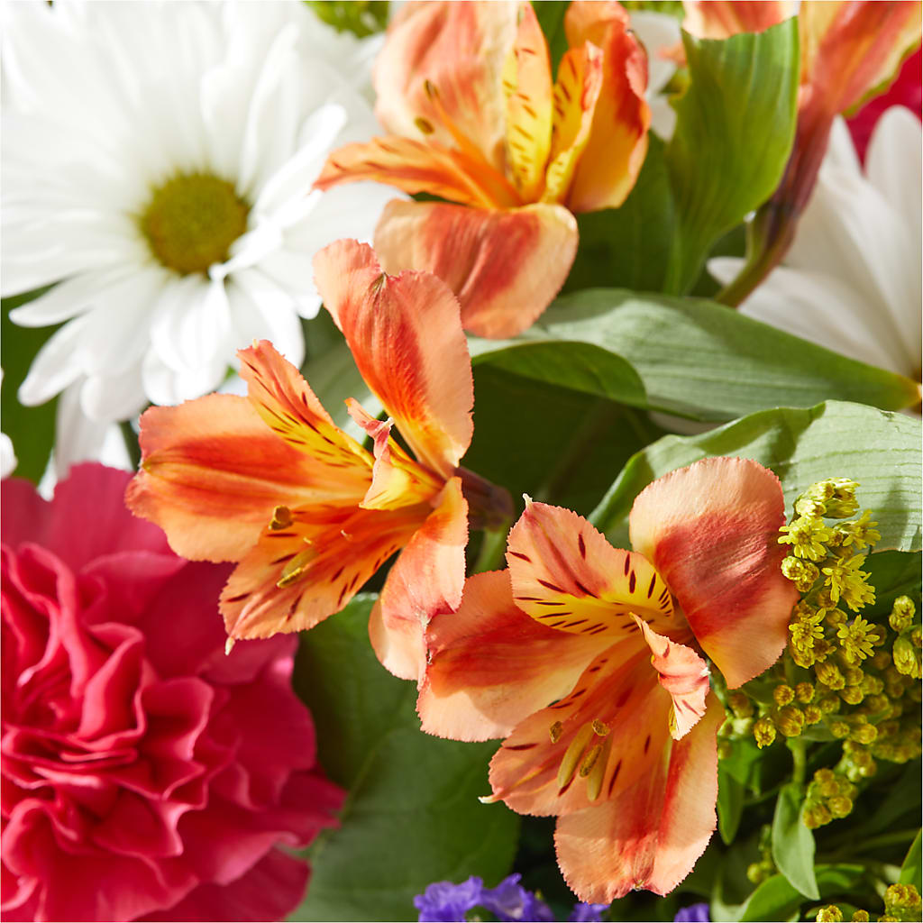 Oopsie Daisy Box Bouquet –  Herbert E Berg Florist Inc, Worcester MA