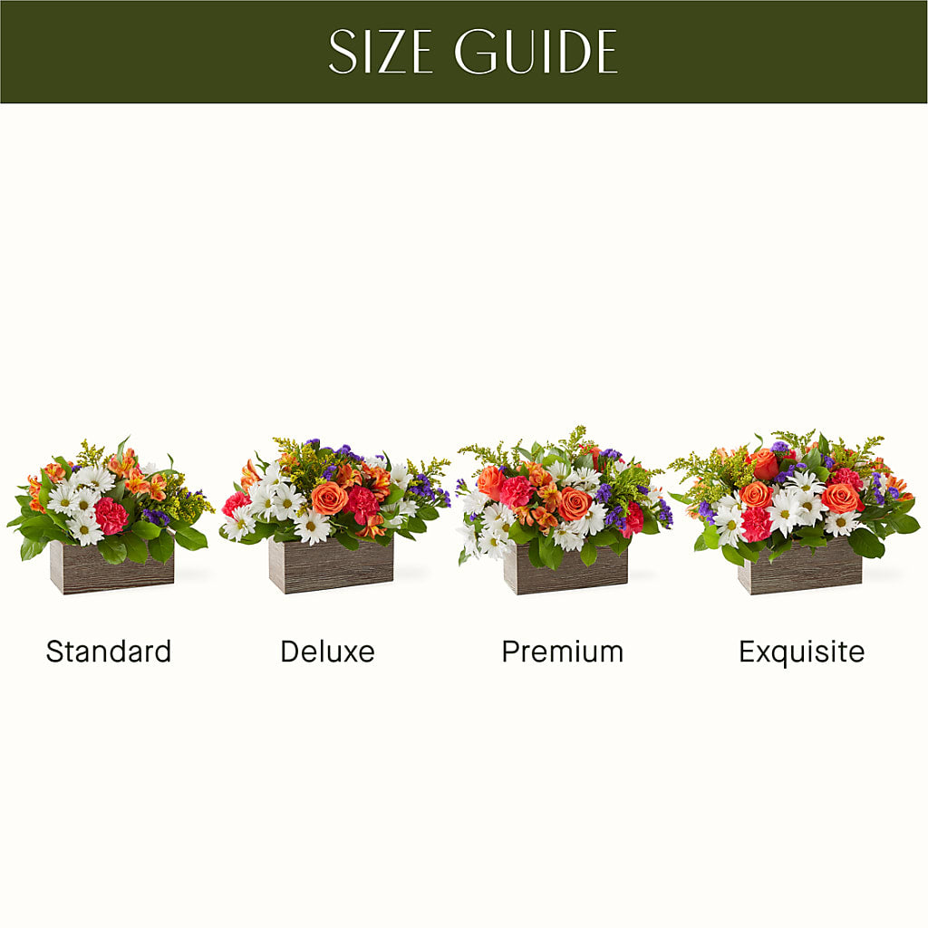 Oopsie Daisy Box Bouquet –  Herbert E Berg Florist Inc, Worcester MA