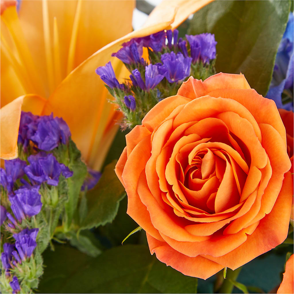 Radiant Citrus Box Bouquet –  Herbert E Berg Florist Inc, Worcester MA