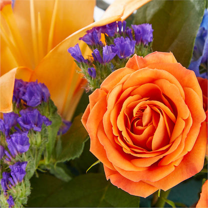 Radiant Citrus Box Bouquet –  Herbert E Berg Florist Inc, Worcester MA