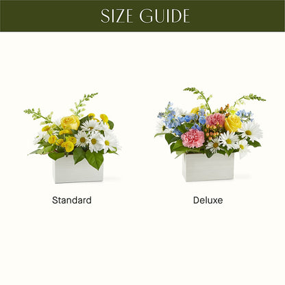 Sun Salutation Box Bouquet –  Herbert E Berg Florist Inc, Worcester MA