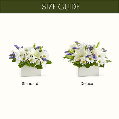 Beyond Blue Box Bouquet –  Herbert E Berg Florist Inc, Worcester MA