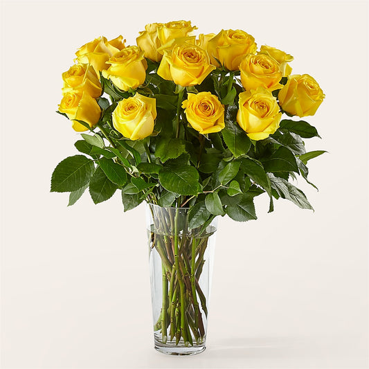 Long Stem Yellow Rose Bouquet –  Herbert E Berg Florist Inc, Worcester MA