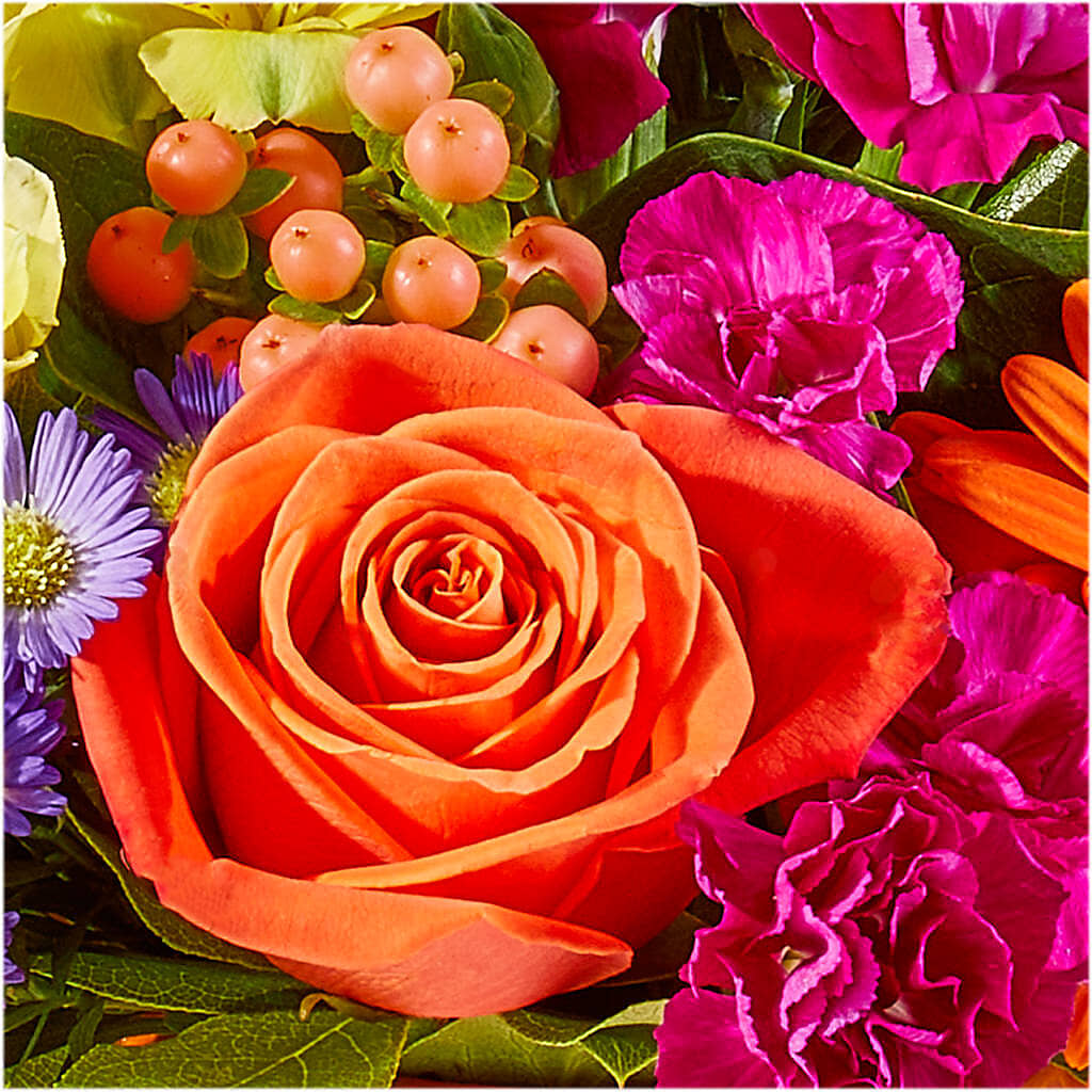 Tricks & Treats Pumpkin –  Herbert E Berg Florist Inc, Worcester MA