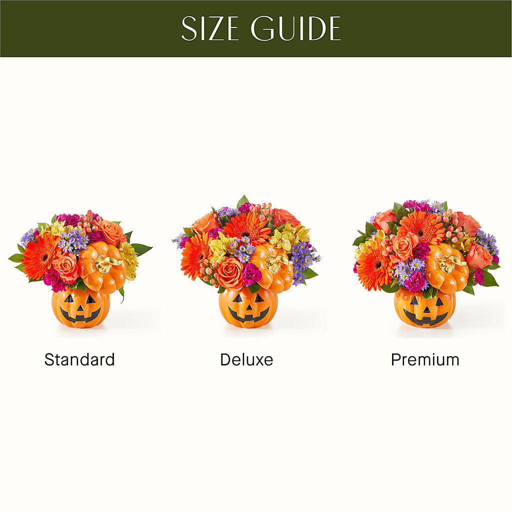 Tricks & Treats Pumpkin –  Herbert E Berg Florist Inc, Worcester MA