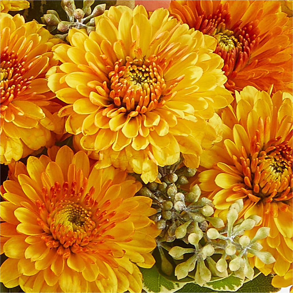 Peachy Pumpkin –  Herbert E Berg Florist Inc, Worcester MA