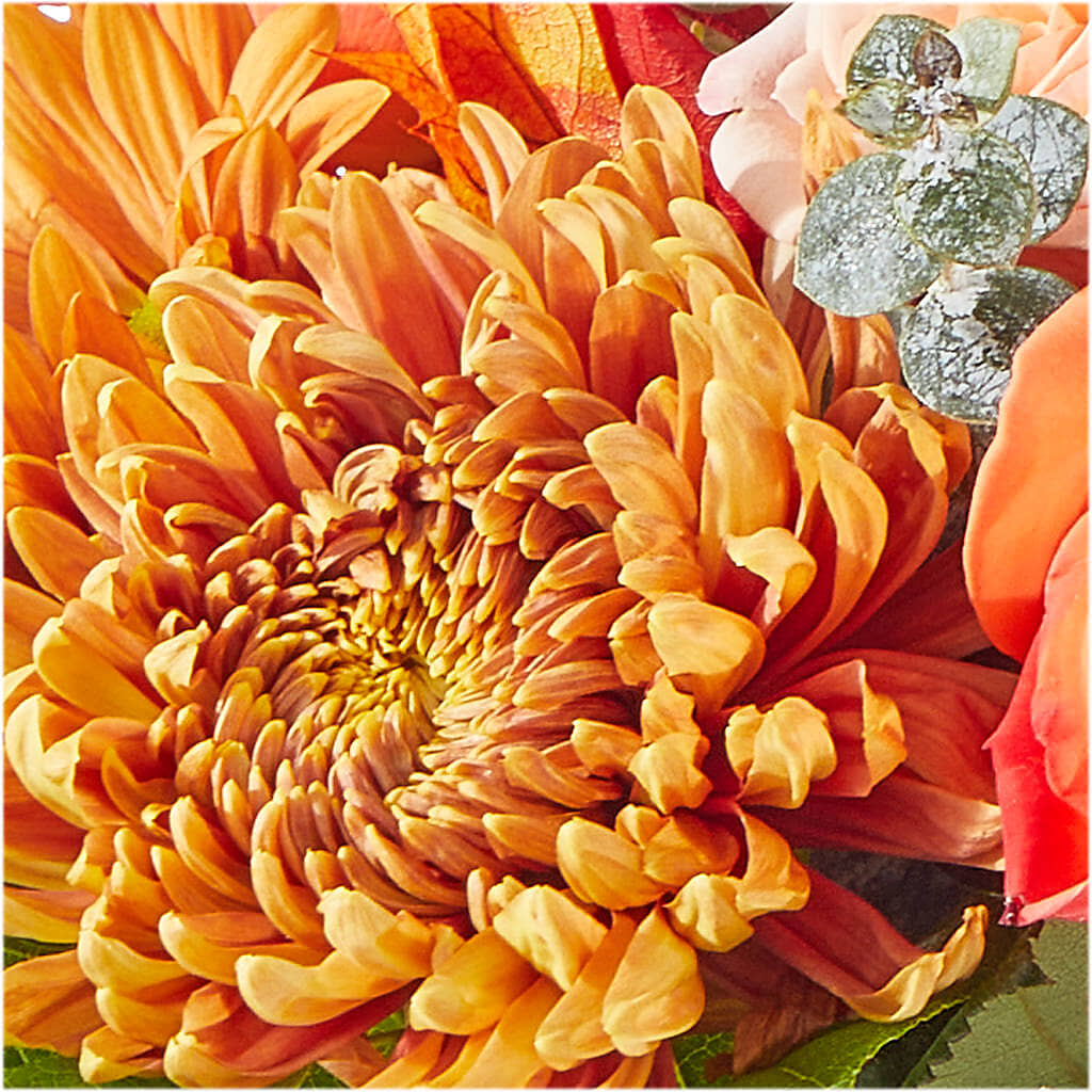 Scenic Route Bouquet –  Herbert E Berg Florist Inc, Worcester MA