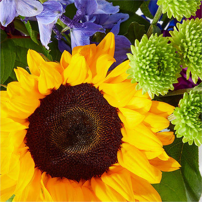 Catching Rays Bouquet –  Herbert E Berg Florist Inc, Worcester MA