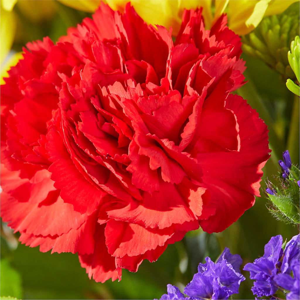Brighter Days Bouquet –  Herbert E Berg Florist Inc, Worcester MA