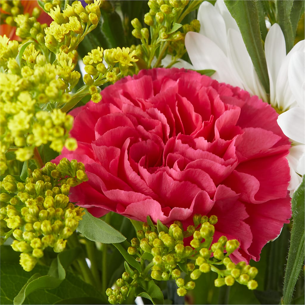 Oopsie Daisy Bouquet –  Herbert E Berg Florist Inc, Worcester MA
