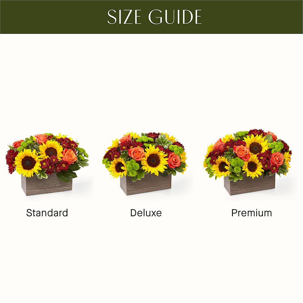 Happy Harvest Garden –  Herbert E Berg Florist Inc, Worcester MA