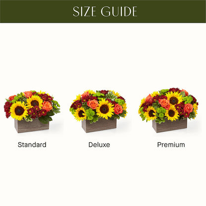 Happy Harvest Garden –  Herbert E Berg Florist Inc, Worcester MA