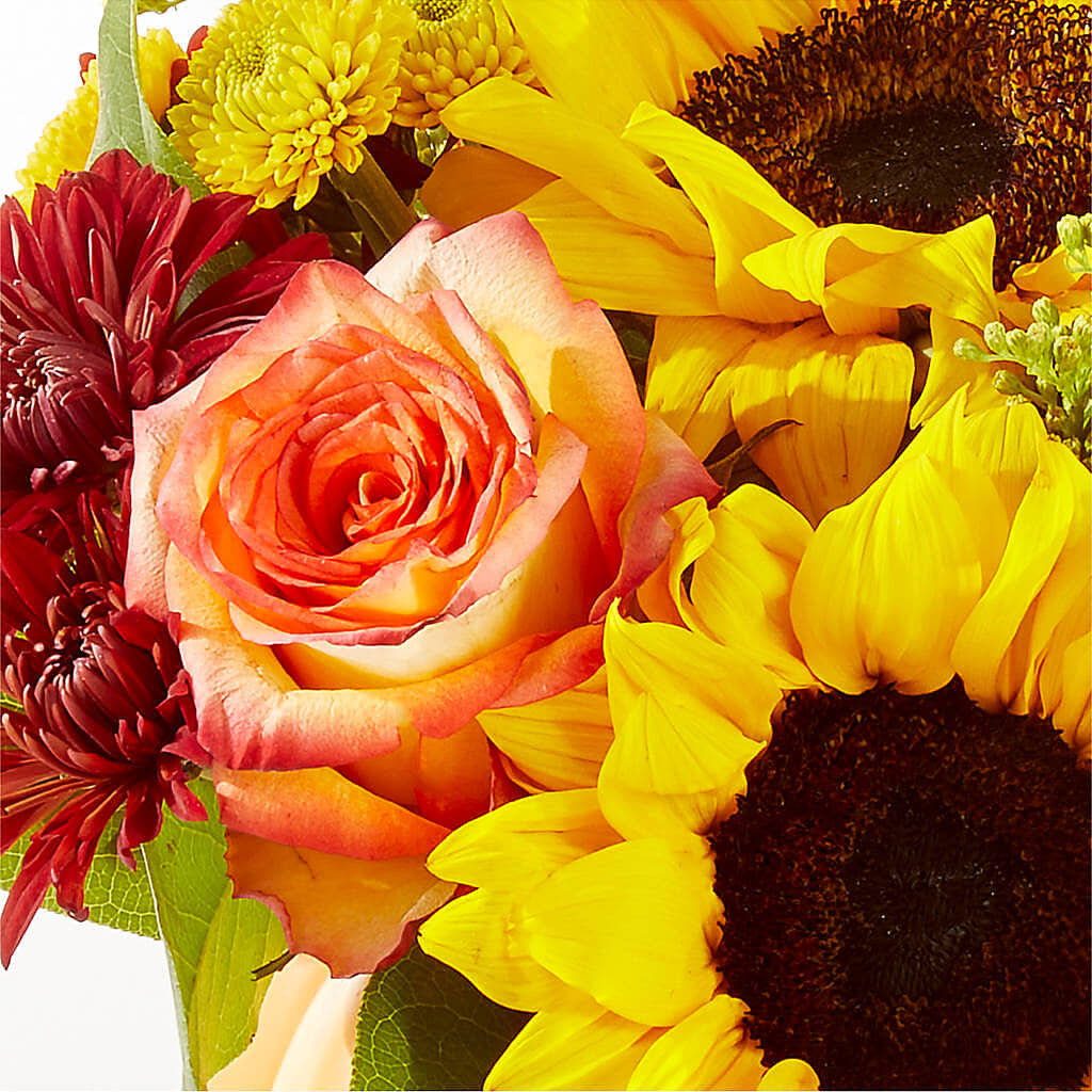 Golden Gourd Pumpkin Bouquet –  Herbert E Berg Florist Inc, Worcester MA